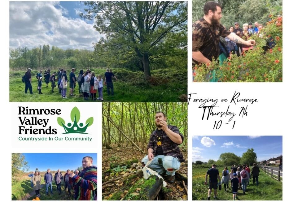 Foraging Walk