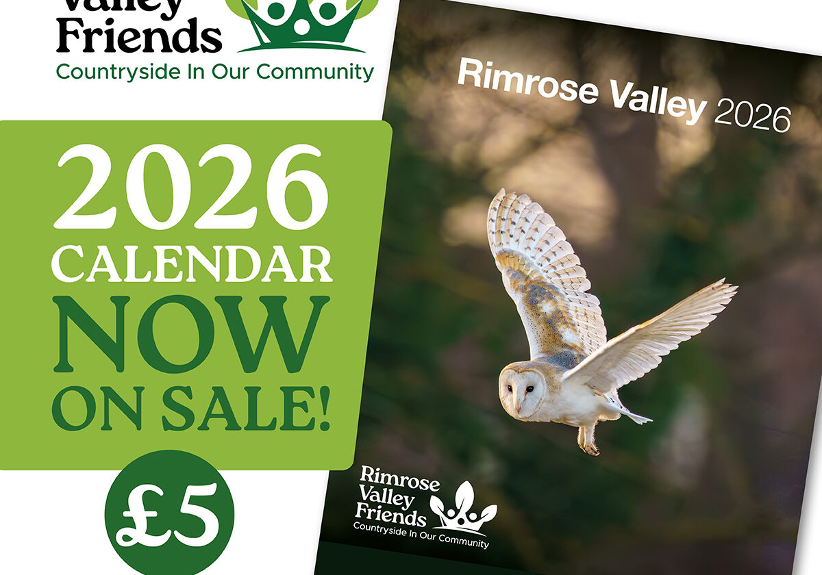 Rimrose 2026 Calendar 1200px_NOW